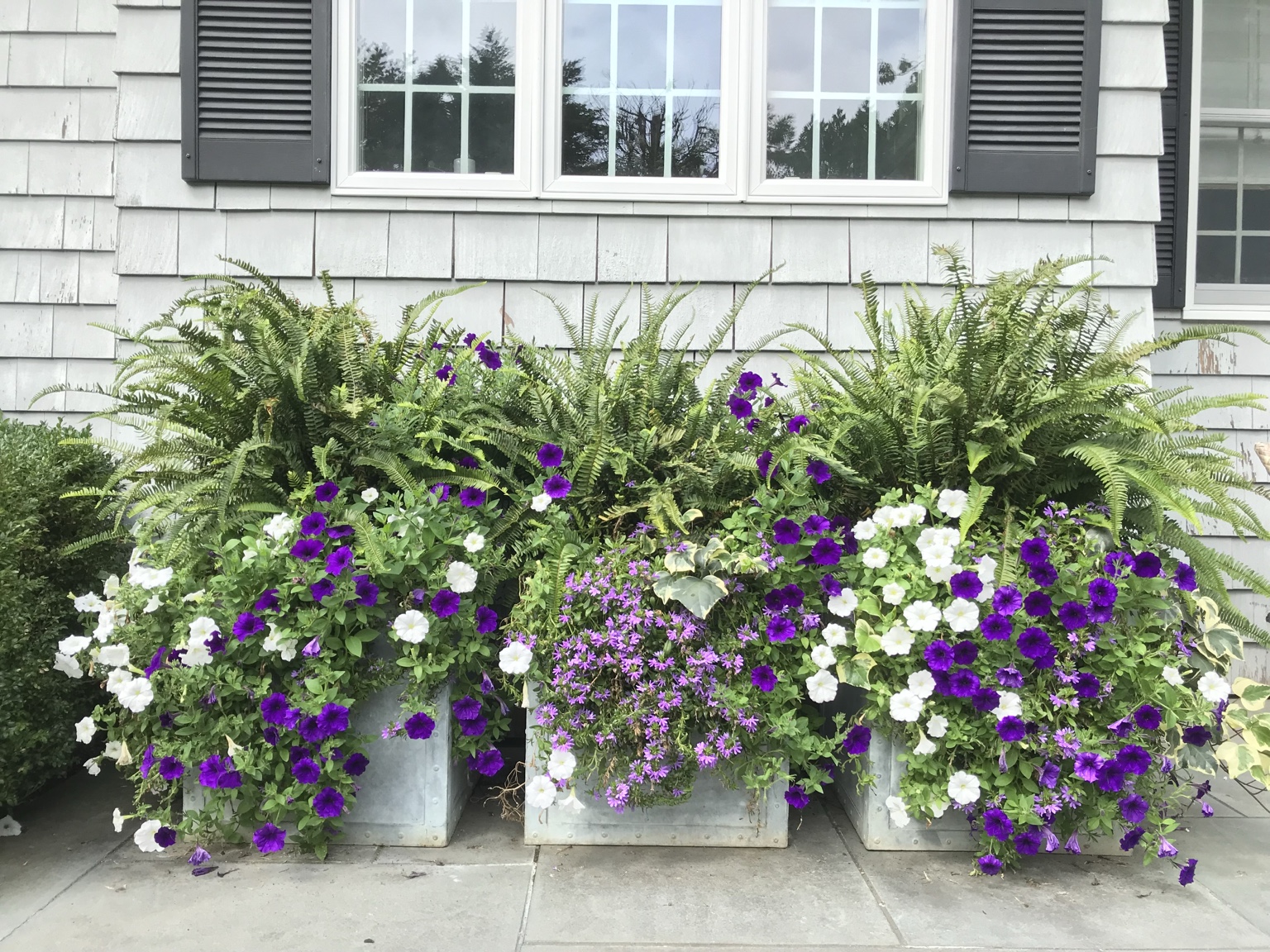 Calais Flower planters